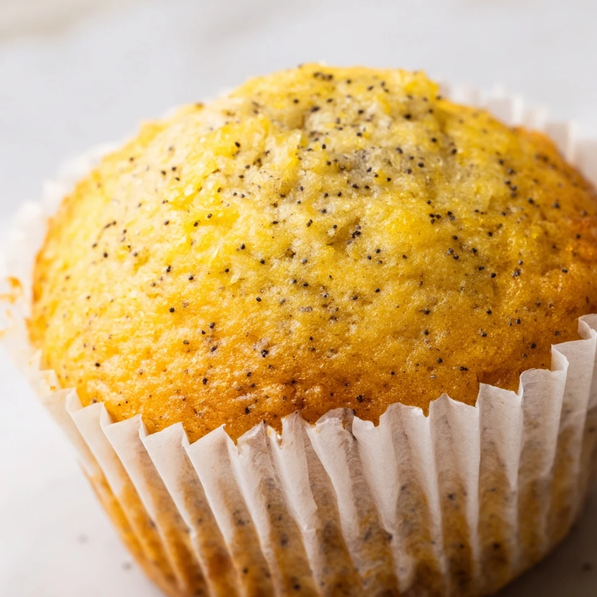 Moist lemon poppy seed muffins flecked with zest and speckled poppy seeds on a white plate